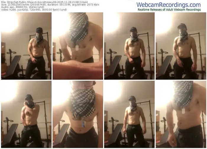 stripchat-biscottosexy69-11-28-2025-21-08-13