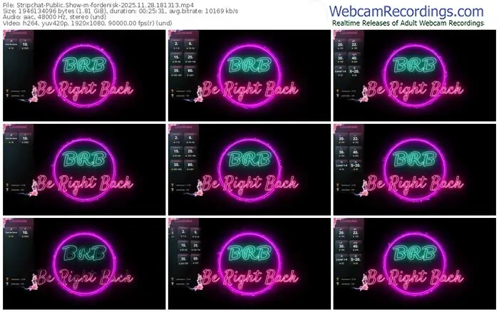 stripchat-fordenisk-11-28-2025-18-13-13