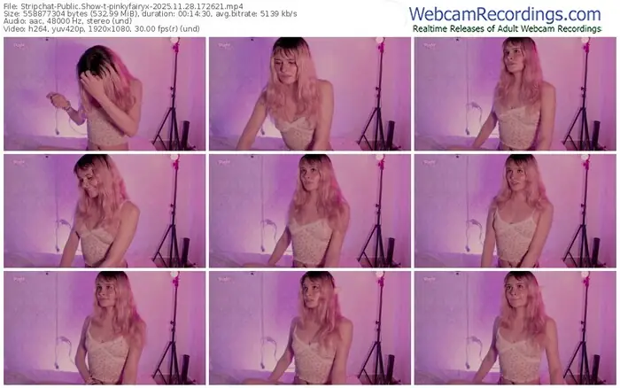 stripchat-pinkyfairyx-11-28-2025-17-26-21