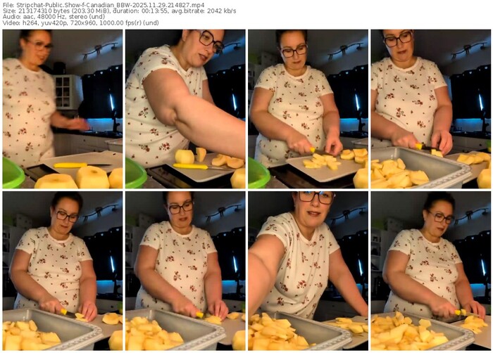 stripchat-canadian_bbw-11-29-2025-21-48-27