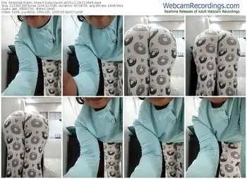 stripchat-dalou3a-69-11-29-2025-11-36-45