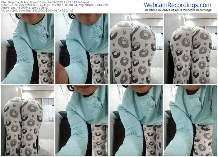 stripchat-dalou3a-69-11-29-2025-11-36-45