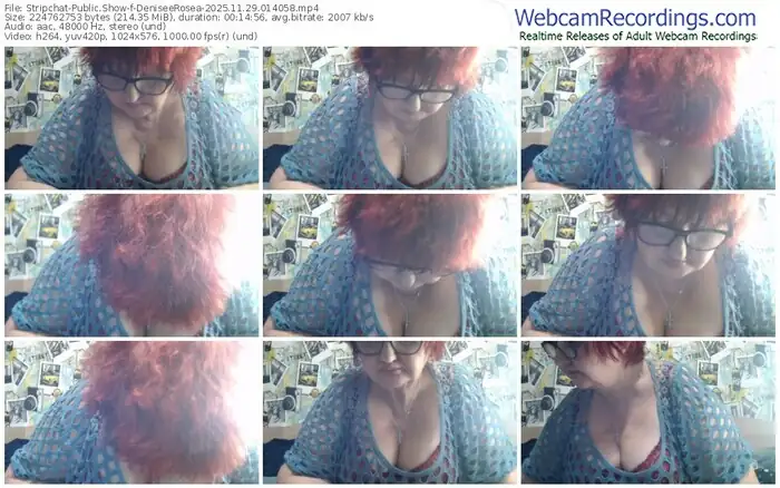 stripchat-deniseerosea-11-29-2025-01-40-58