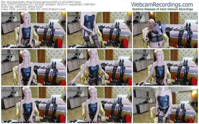 stripchat-domcaprisse-11-29-2025-14-56-57