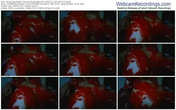 stripchat-everydayonli-11-29-2025-10-47-13