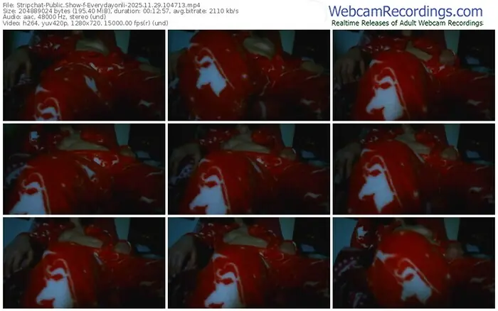 stripchat-everydayonli-11-29-2025-10-47-13