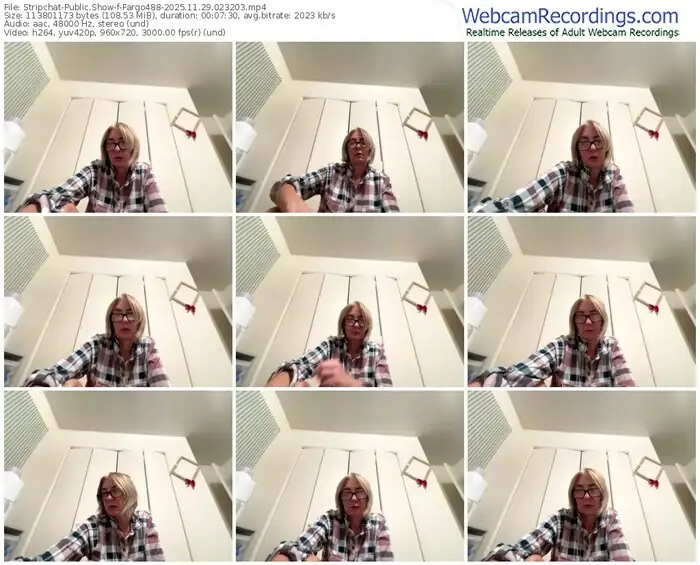 stripchat-fargo488-11-29-2025-02-32-03