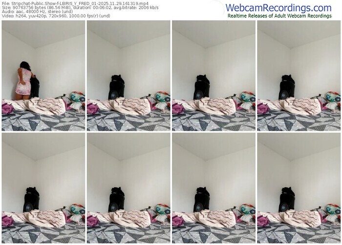 stripchat-leiris_y_fred_01-11-29-2025-16-13-19