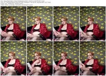 stripchat-melisaswan611-11-29-2025-00-18-17