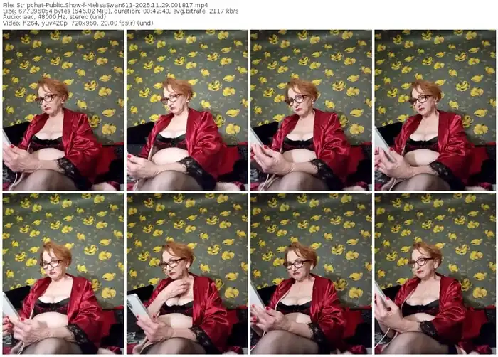 stripchat-melisaswan611-11-29-2025-00-18-17