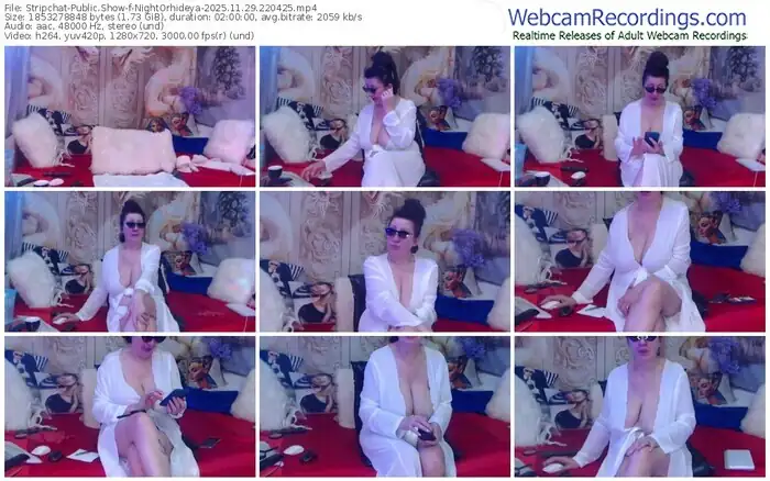 stripchat-nightorhideya-11-29-2025-22-04-25