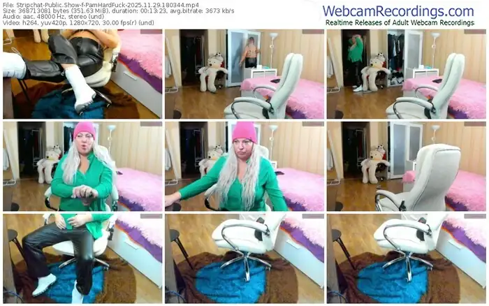 stripchat-pamhardfuck-11-29-2025-18-03-44