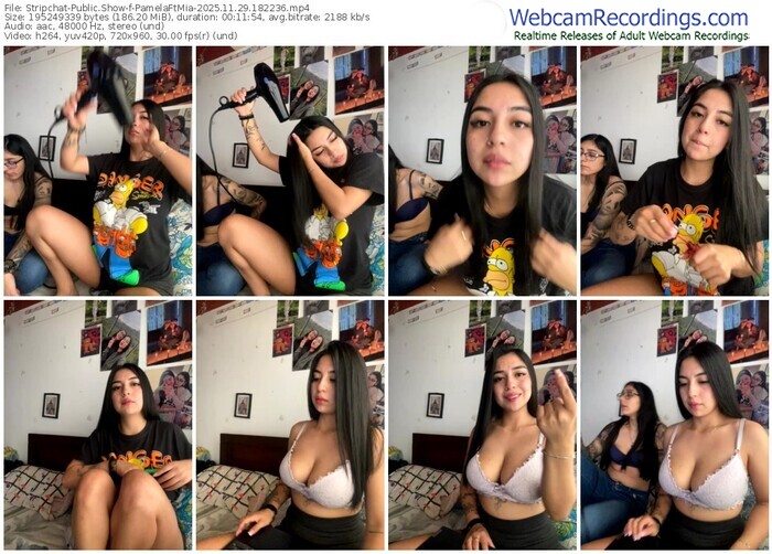 stripchat-pamelaftmia-11-29-2025-18-22-36