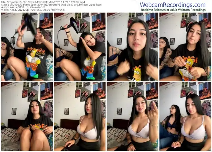 stripchat-pamelaftmia-11-29-2025-18-22-36