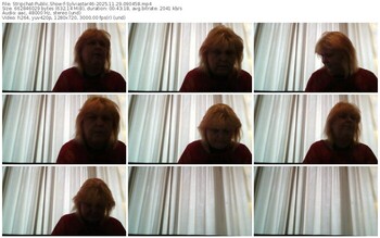 stripchat-sylviastar46-11-29-2025-09-04-58