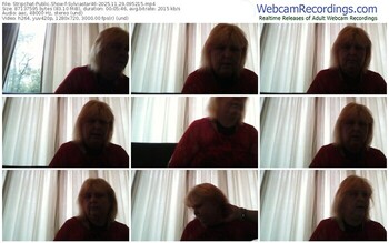 stripchat-sylviastar46-11-29-2025-09-52-15