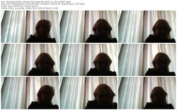 stripchat-sylviastar46-11-29-2025-11-48-07