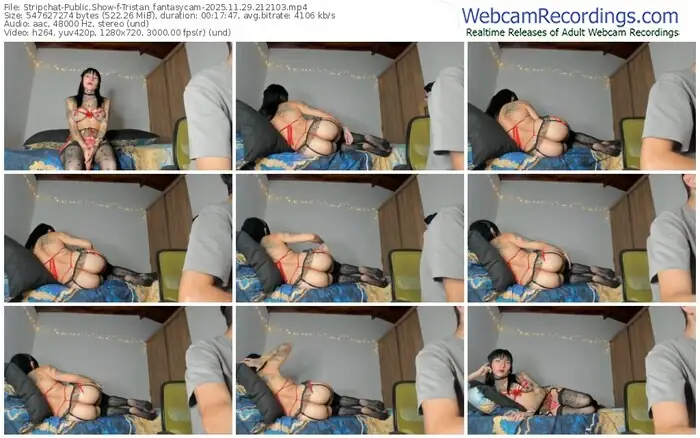 stripchat-tristan_fantasycam-11-29-2025-21-21-03