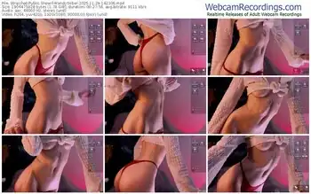 stripchat-wendygilber-11-29-2025-14-23-06