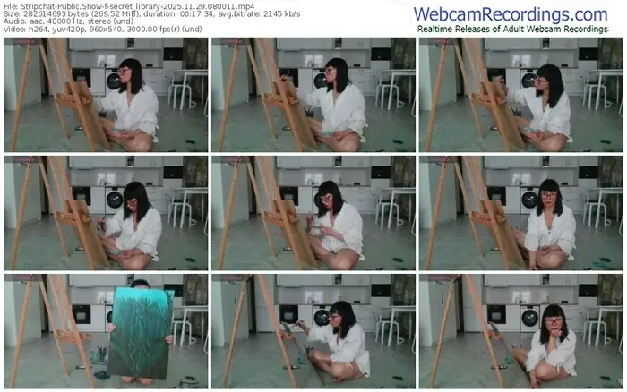 stripchat-secret_library-11-29-2025-08-00-11