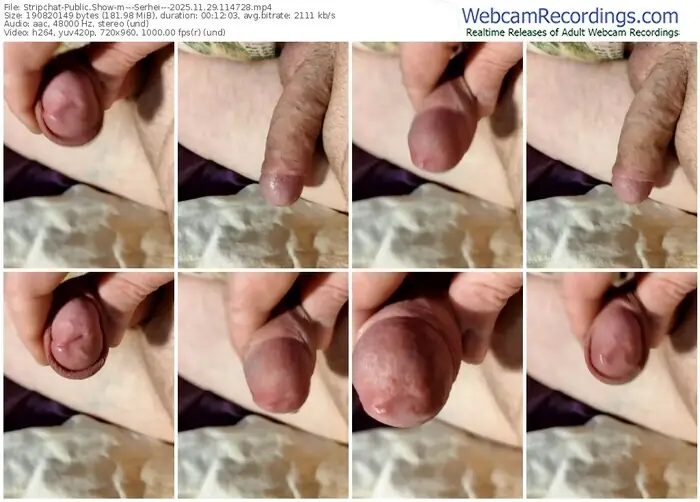 stripchat---serhei---11-29-2025-11-47-28