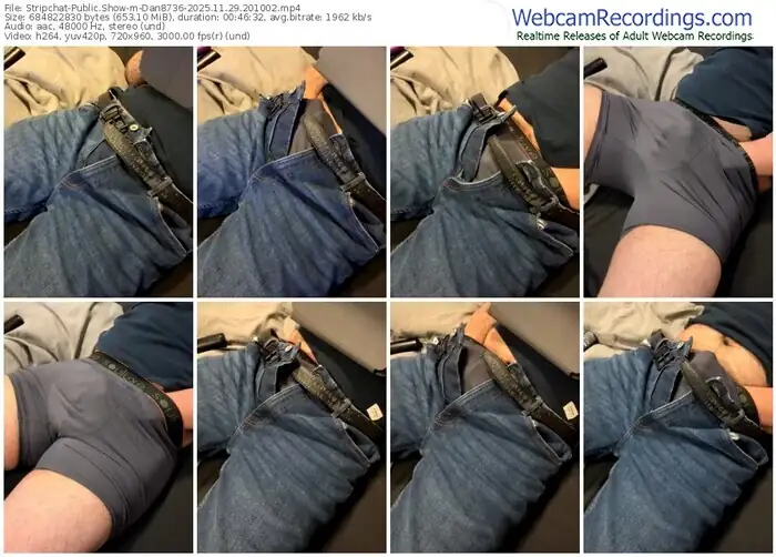 stripchat-dan8736-11-29-2025-20-10-02