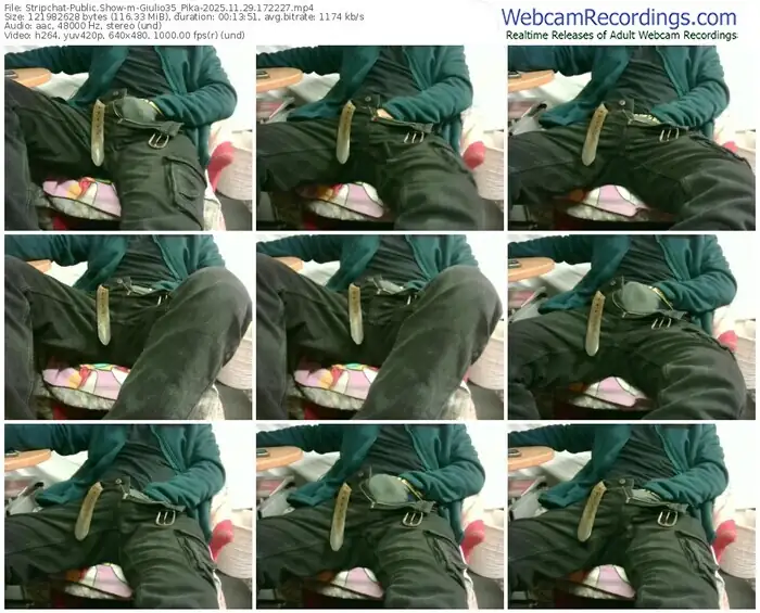 stripchat-giulio35_pika-11-29-2025-17-22-27