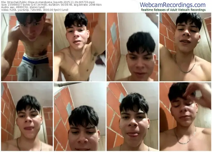 stripchat-handsome_boys69-11-29-2025-00-57-33