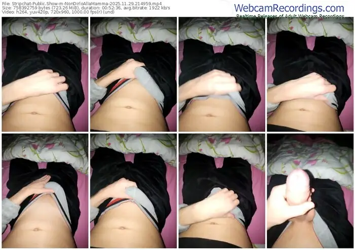 stripchat-nondirloallamamma-11-29-2025-21-49-59