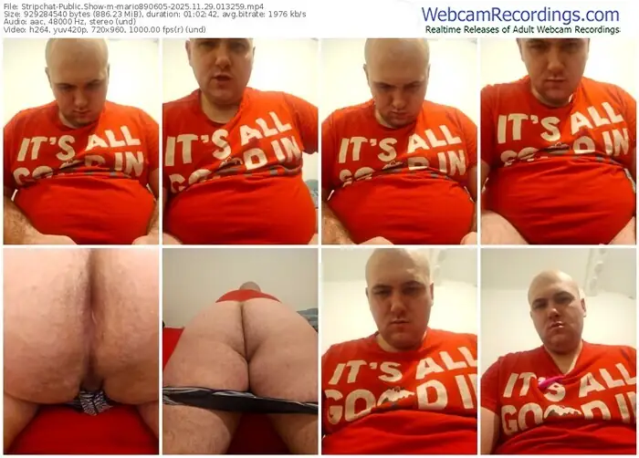 stripchat-mario890605-11-29-2025-01-32-59