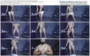 stripchat-mattmasterss-11-29-2025-06-42-34