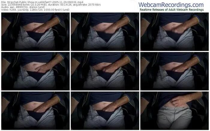 stripchat-velikifant7-11-29-2025-06-00-31