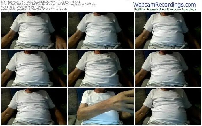 stripchat-velikifant7-11-29-2025-17-21-33