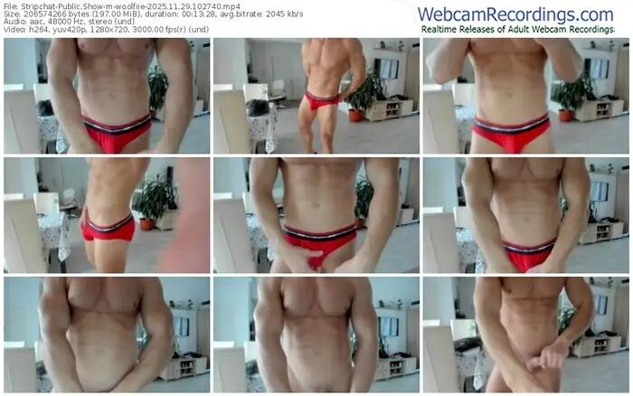 stripchat-woolfiie-11-29-2025-10-27-40