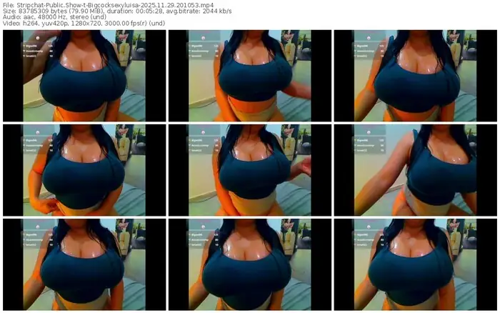 stripchat-bigcocksexyluisa-11-29-2025-20-10-53