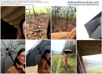 stripchat-avaflowers6-11-30-2025-13-28-45