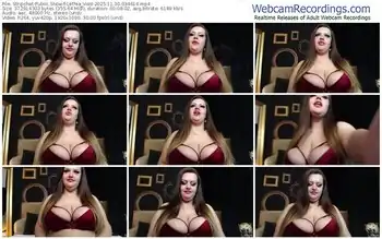 stripchat-lethia_void-11-30-2025-03-46-14