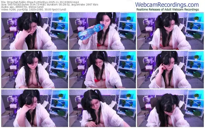 stripchat-littleshyy-11-30-2025-19-34-02