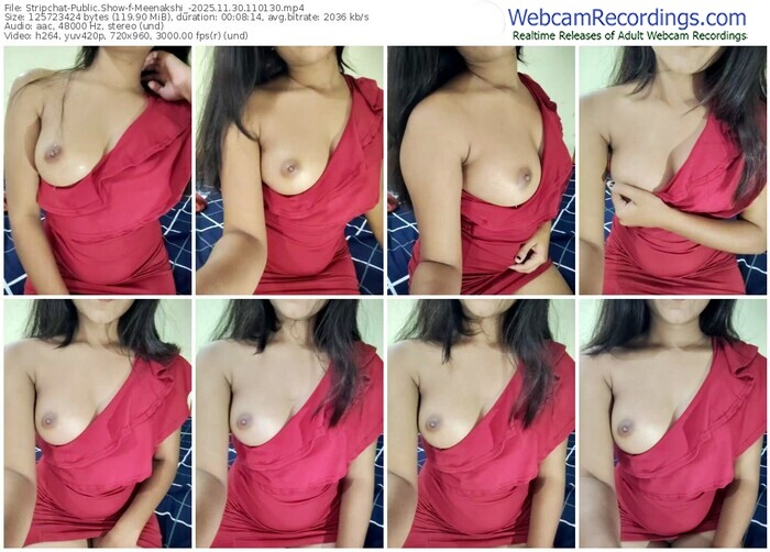 stripchat-meenakshi_-11-30-2025-11-01-30