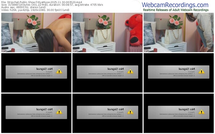 stripchat-myamuse-11-30-2025-06-35-20