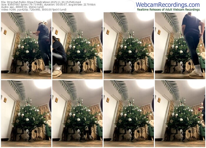 stripchat-nadiranoor-11-30-2025-15-25-46