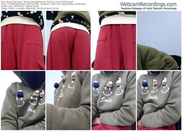 stripchat-noorkhatoon-11-30-2025-13-06-45