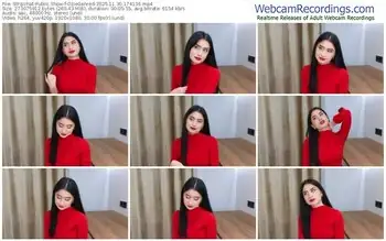 stripchat-oziegehred-11-30-2025-17-41-36