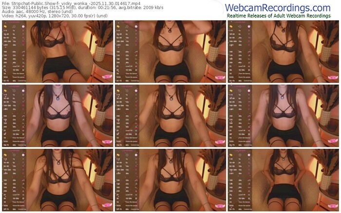 stripchat-_vicky_wonka_-11-30-2025-01-46-17