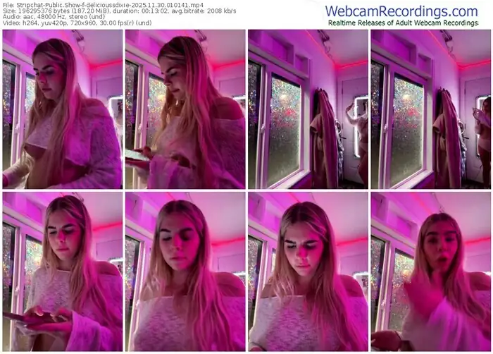 stripchat-delicioussdixie-11-30-2025-01-01-41