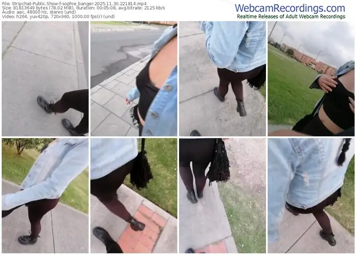 stripchat-sophie_banger-11-30-2025-22-18-14