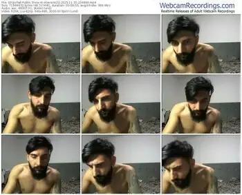 stripchat-alexsins22-11-30-2025-23-48-49