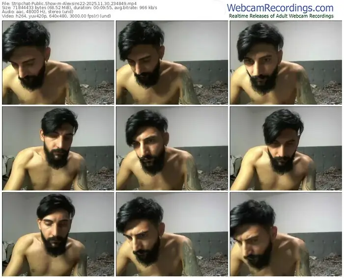 stripchat-alexsins22-11-30-2025-23-48-49