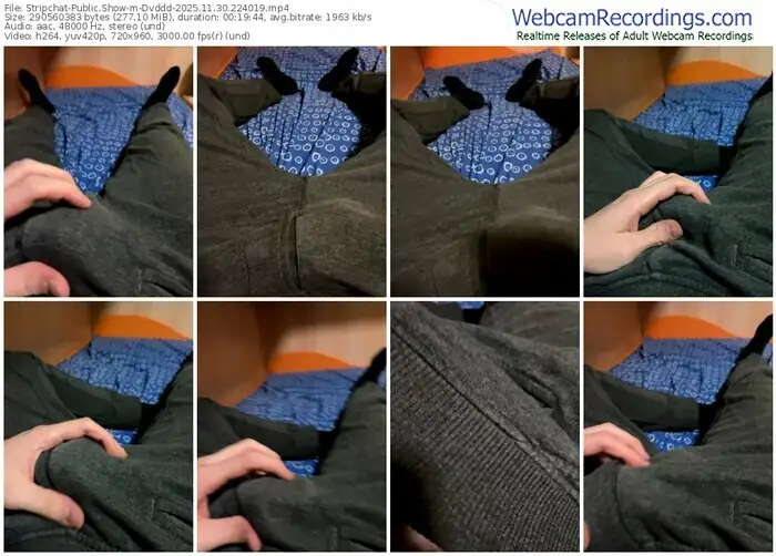 stripchat-dvddd-11-30-2025-22-40-19