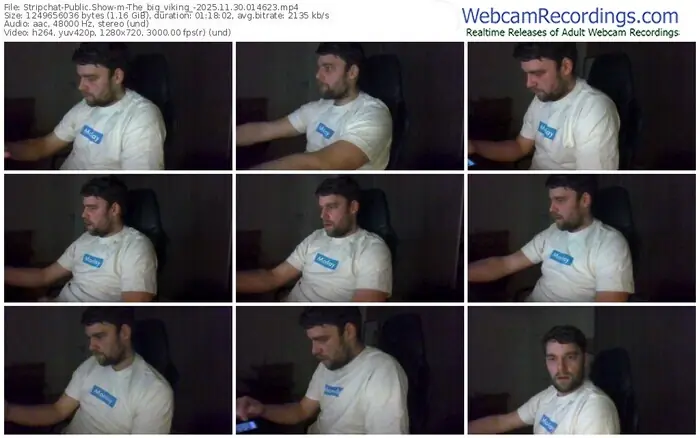 stripchat-the_big_viking_-11-30-2025-01-46-23